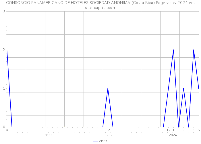 CONSORCIO PANAMERICANO DE HOTELES SOCIEDAD ANONIMA (Costa Rica) Page visits 2024 