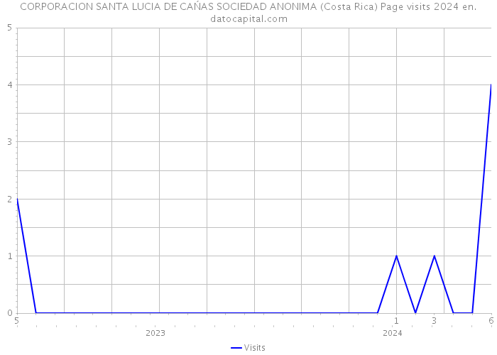 CORPORACION SANTA LUCIA DE CAŃAS SOCIEDAD ANONIMA (Costa Rica) Page visits 2024 