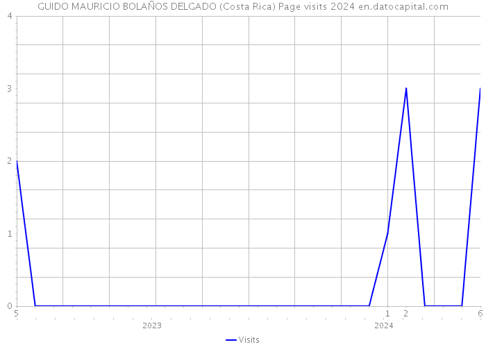 GUIDO MAURICIO BOLAÑOS DELGADO (Costa Rica) Page visits 2024 