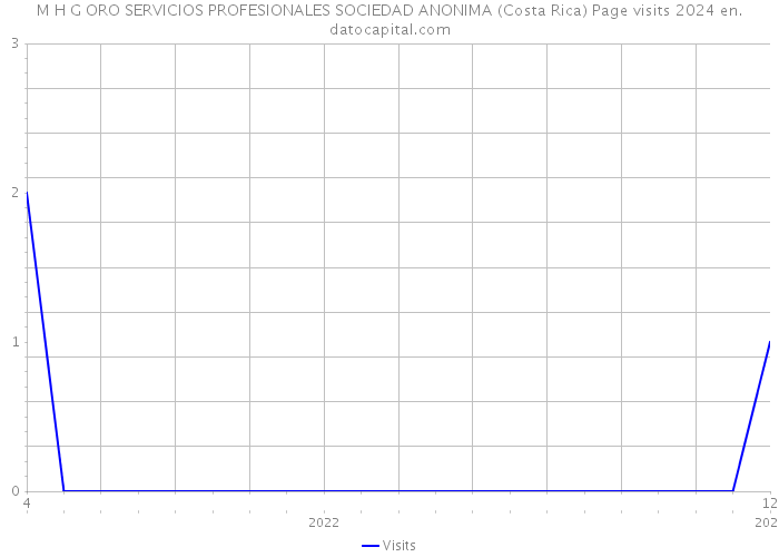 M H G ORO SERVICIOS PROFESIONALES SOCIEDAD ANONIMA (Costa Rica) Page visits 2024 