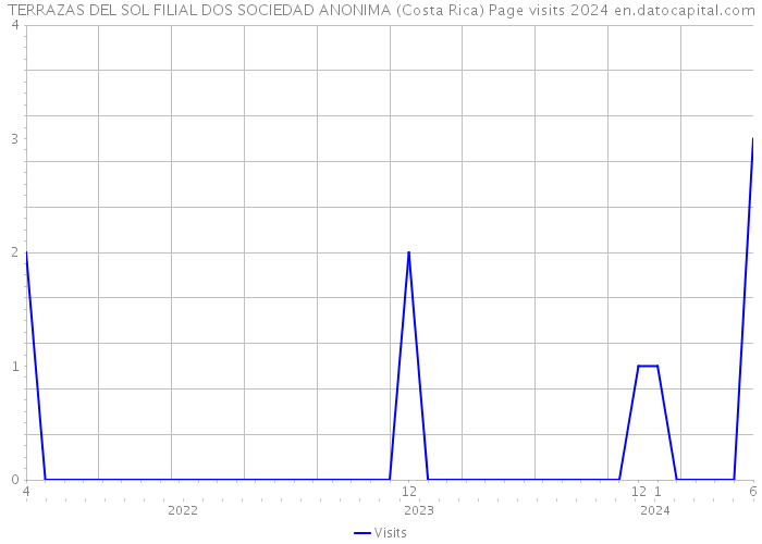 TERRAZAS DEL SOL FILIAL DOS SOCIEDAD ANONIMA (Costa Rica) Page visits 2024 