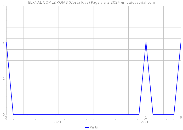 BERNAL GOMEZ ROJAS (Costa Rica) Page visits 2024 