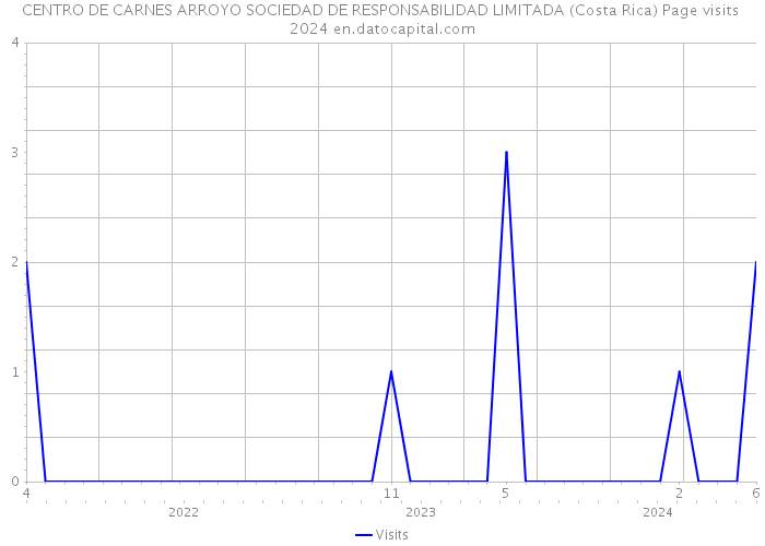 CENTRO DE CARNES ARROYO SOCIEDAD DE RESPONSABILIDAD LIMITADA (Costa Rica) Page visits 2024 