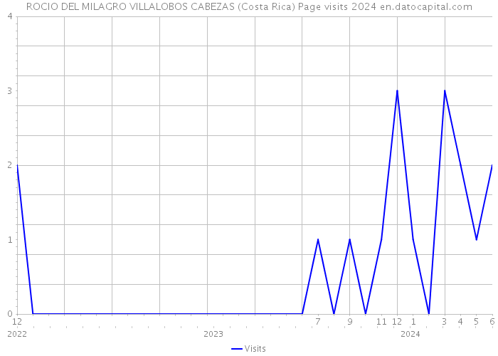 ROCIO DEL MILAGRO VILLALOBOS CABEZAS (Costa Rica) Page visits 2024 