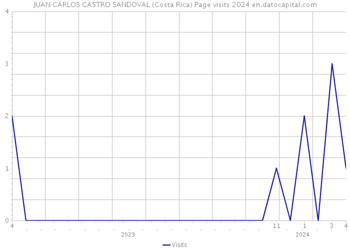 JUAN CARLOS CASTRO SANDOVAL (Costa Rica) Page visits 2024 