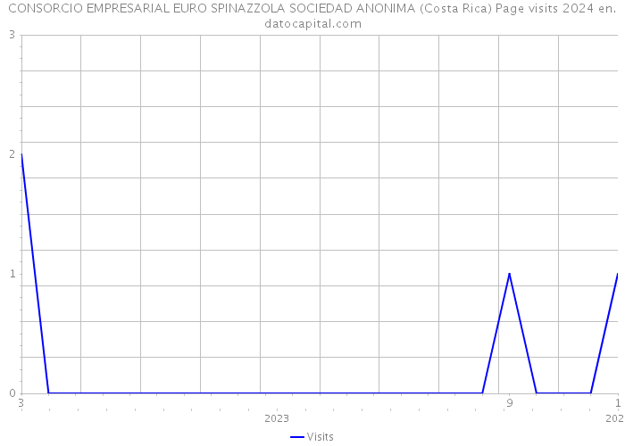 CONSORCIO EMPRESARIAL EURO SPINAZZOLA SOCIEDAD ANONIMA (Costa Rica) Page visits 2024 