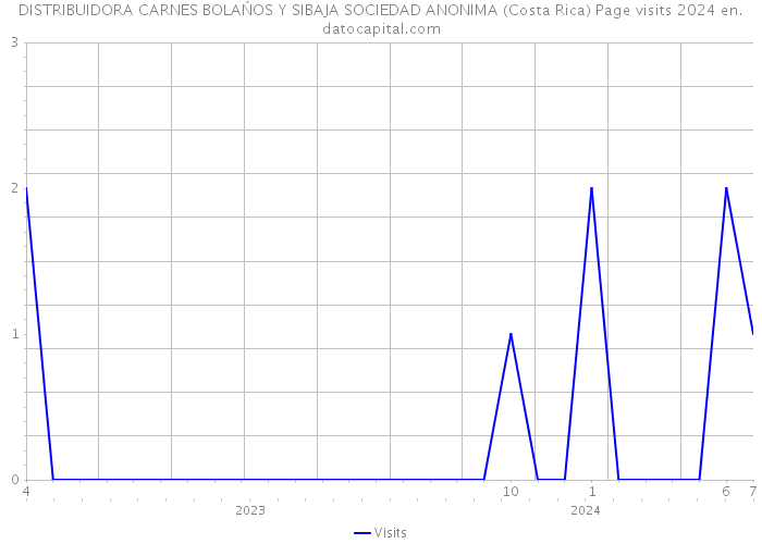 DISTRIBUIDORA CARNES BOLAŃOS Y SIBAJA SOCIEDAD ANONIMA (Costa Rica) Page visits 2024 