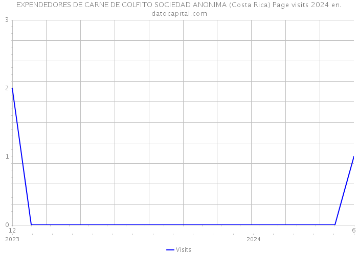 EXPENDEDORES DE CARNE DE GOLFITO SOCIEDAD ANONIMA (Costa Rica) Page visits 2024 