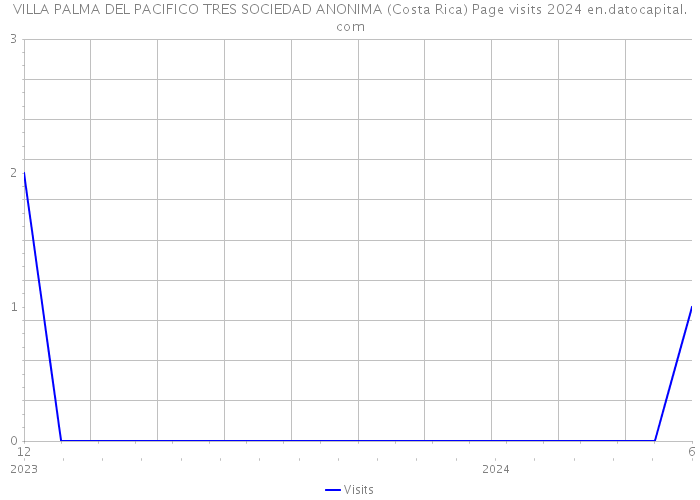 VILLA PALMA DEL PACIFICO TRES SOCIEDAD ANONIMA (Costa Rica) Page visits 2024 