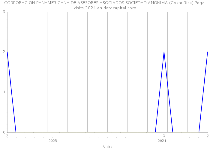 CORPORACION PANAMERICANA DE ASESORES ASOCIADOS SOCIEDAD ANONIMA (Costa Rica) Page visits 2024 
