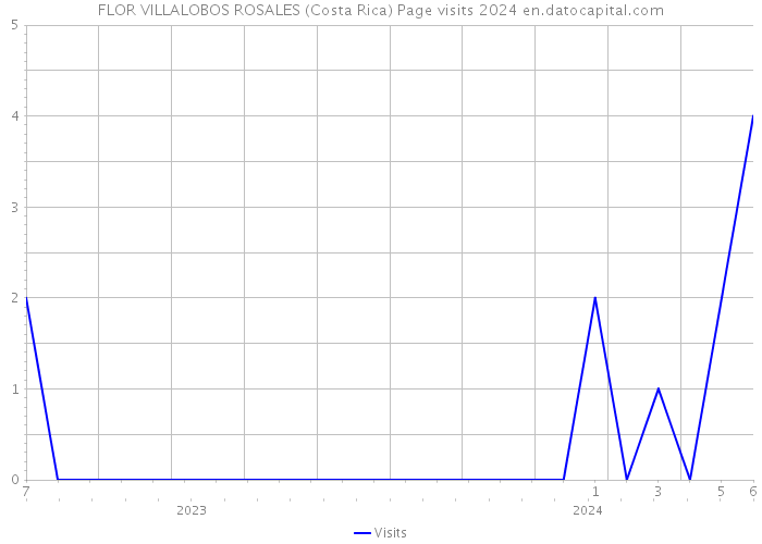 FLOR VILLALOBOS ROSALES (Costa Rica) Page visits 2024 