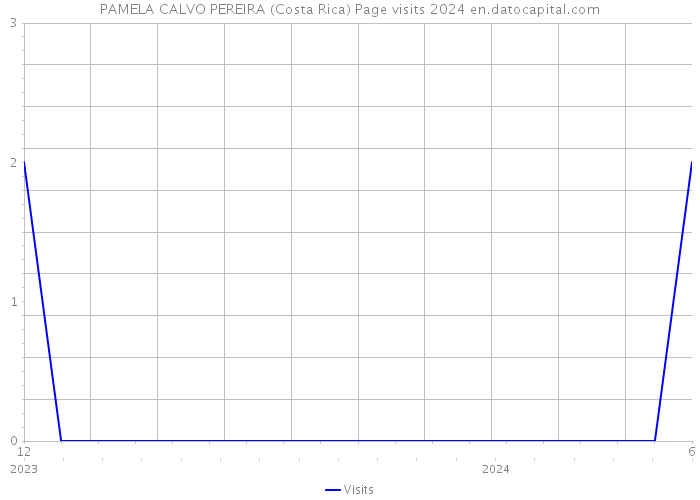 PAMELA CALVO PEREIRA (Costa Rica) Page visits 2024 