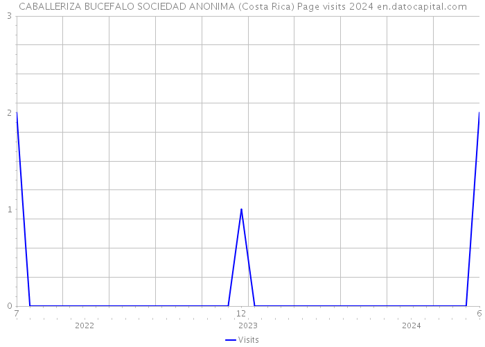 CABALLERIZA BUCEFALO SOCIEDAD ANONIMA (Costa Rica) Page visits 2024 
