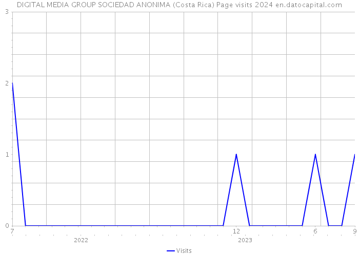 DIGITAL MEDIA GROUP SOCIEDAD ANONIMA (Costa Rica) Page visits 2024 