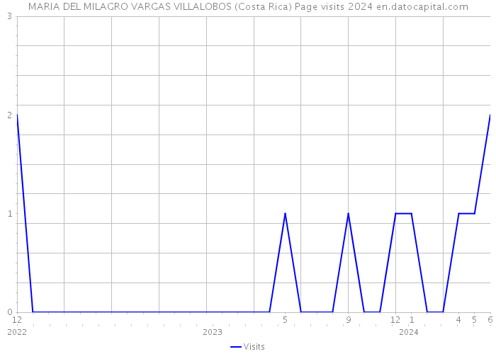 MARIA DEL MILAGRO VARGAS VILLALOBOS (Costa Rica) Page visits 2024 
