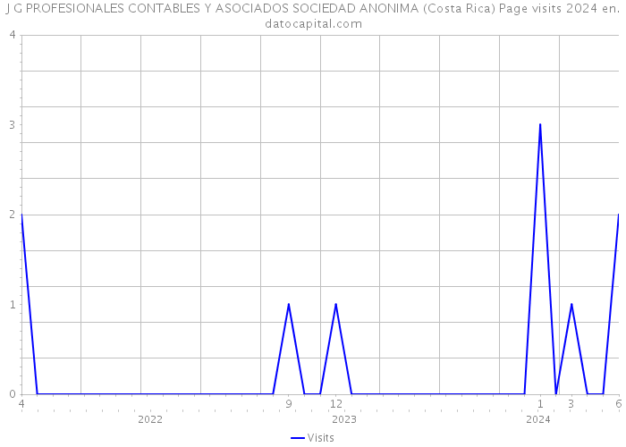 J G PROFESIONALES CONTABLES Y ASOCIADOS SOCIEDAD ANONIMA (Costa Rica) Page visits 2024 