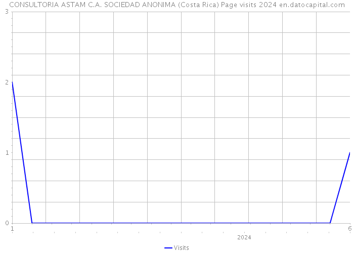 CONSULTORIA ASTAM C.A. SOCIEDAD ANONIMA (Costa Rica) Page visits 2024 