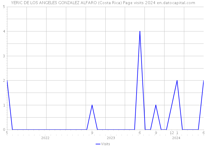 YERIC DE LOS ANGELES GONZALEZ ALFARO (Costa Rica) Page visits 2024 