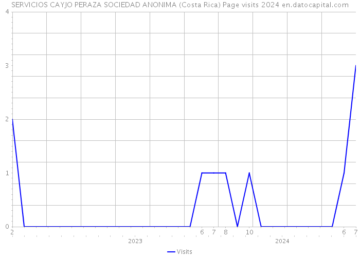 SERVICIOS CAYJO PERAZA SOCIEDAD ANONIMA (Costa Rica) Page visits 2024 