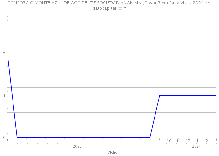 CONSORCIO MONTE AZUL DE OCCIDENTE SOCIEDAD ANONIMA (Costa Rica) Page visits 2024 