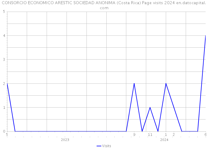 CONSORCIO ECONOMICO ARESTIC SOCIEDAD ANONIMA (Costa Rica) Page visits 2024 