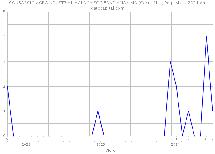 CONSORCIO AGROINDUSTRIAL MALAGA SOCIEDAD ANONIMA (Costa Rica) Page visits 2024 
