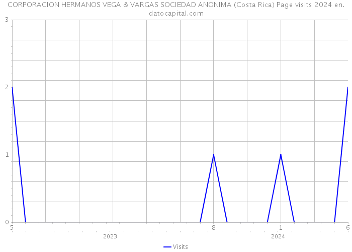 CORPORACION HERMANOS VEGA & VARGAS SOCIEDAD ANONIMA (Costa Rica) Page visits 2024 