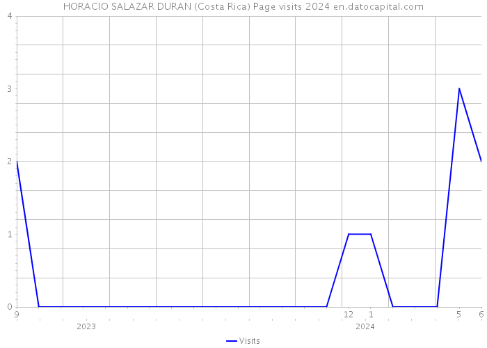HORACIO SALAZAR DURAN (Costa Rica) Page visits 2024 