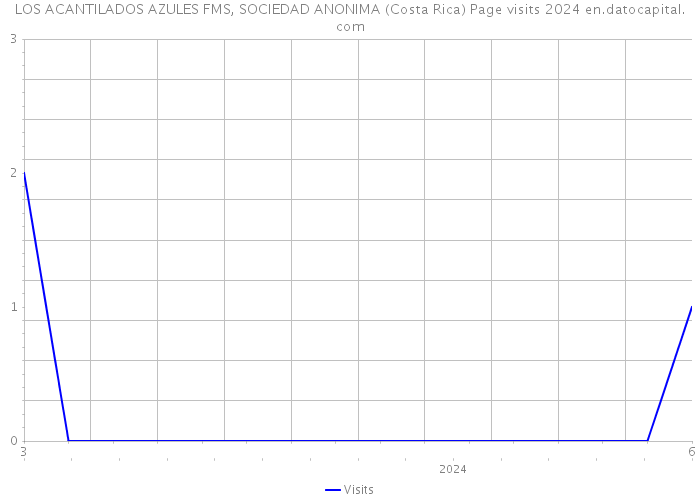 LOS ACANTILADOS AZULES FMS, SOCIEDAD ANONIMA (Costa Rica) Page visits 2024 