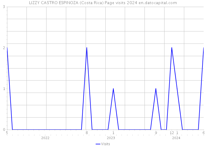LIZZY CASTRO ESPINOZA (Costa Rica) Page visits 2024 