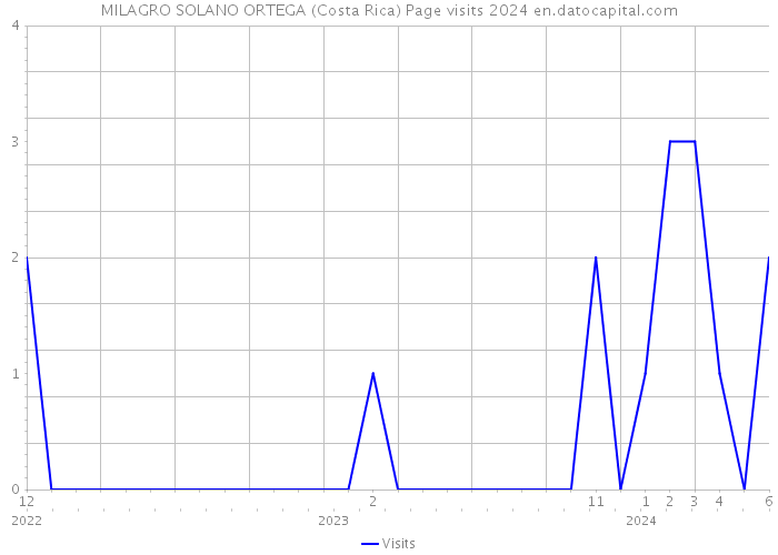 MILAGRO SOLANO ORTEGA (Costa Rica) Page visits 2024 