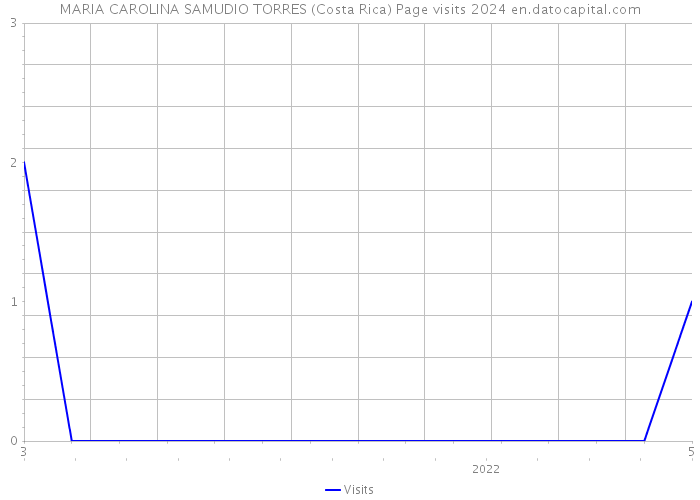 MARIA CAROLINA SAMUDIO TORRES (Costa Rica) Page visits 2024 