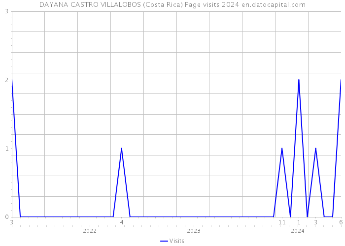 DAYANA CASTRO VILLALOBOS (Costa Rica) Page visits 2024 