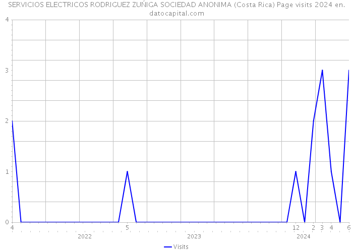 SERVICIOS ELECTRICOS RODRIGUEZ ZUŃIGA SOCIEDAD ANONIMA (Costa Rica) Page visits 2024 
