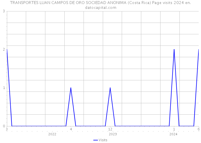 TRANSPORTES LUAN CAMPOS DE ORO SOCIEDAD ANONIMA (Costa Rica) Page visits 2024 