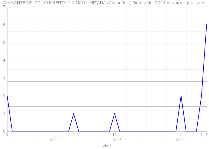 DIAMANTE DEL SOL CUARENTA Y CINCO LIMITADA (Costa Rica) Page visits 2024 