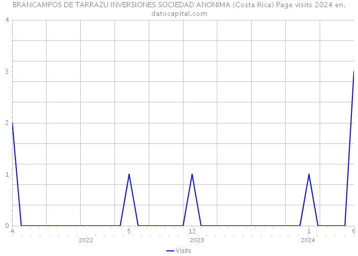 BRANCAMPOS DE TARRAZU INVERSIONES SOCIEDAD ANONIMA (Costa Rica) Page visits 2024 