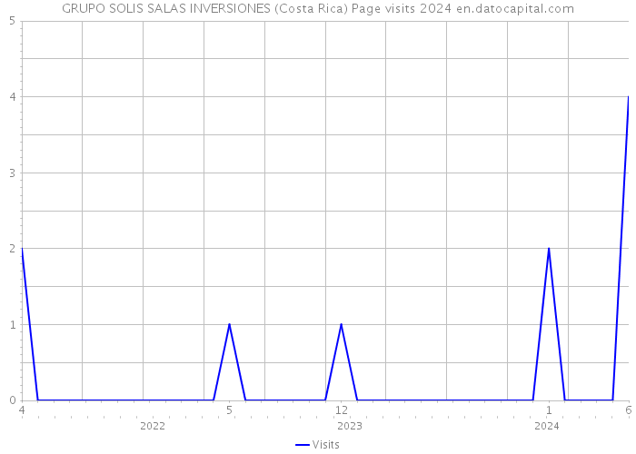 GRUPO SOLIS SALAS INVERSIONES (Costa Rica) Page visits 2024 
