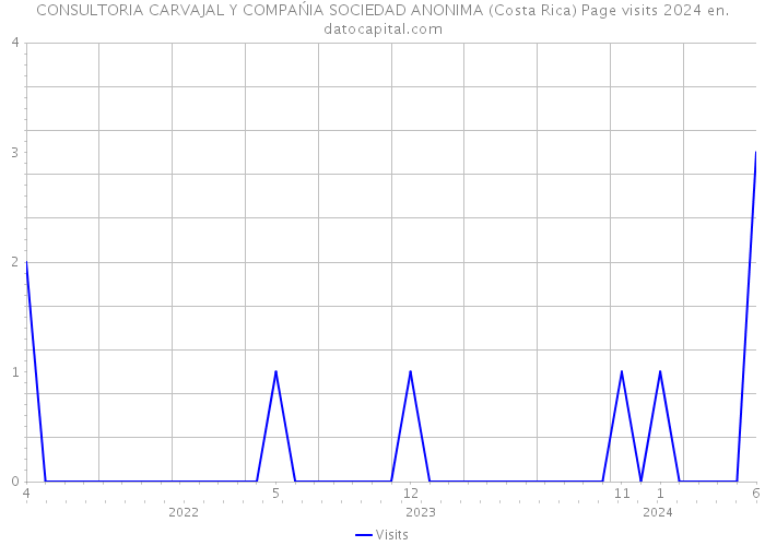 CONSULTORIA CARVAJAL Y COMPAŃIA SOCIEDAD ANONIMA (Costa Rica) Page visits 2024 