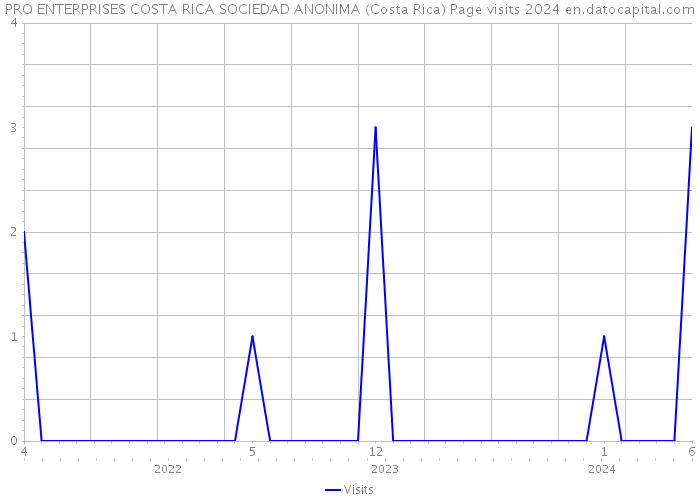 PRO ENTERPRISES COSTA RICA SOCIEDAD ANONIMA (Costa Rica) Page visits 2024 