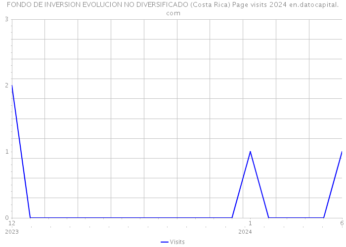 FONDO DE INVERSION EVOLUCION NO DIVERSIFICADO (Costa Rica) Page visits 2024 
