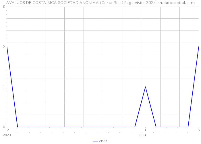 AVALUOS DE COSTA RICA SOCIEDAD ANONIMA (Costa Rica) Page visits 2024 