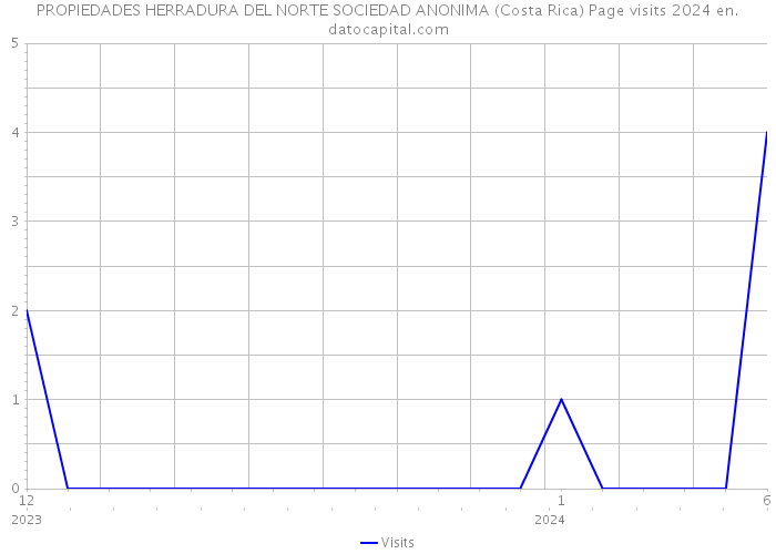 PROPIEDADES HERRADURA DEL NORTE SOCIEDAD ANONIMA (Costa Rica) Page visits 2024 