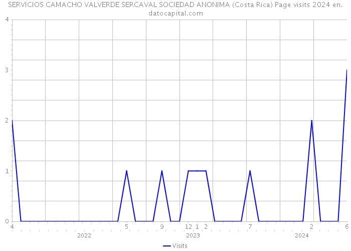 SERVICIOS CAMACHO VALVERDE SERCAVAL SOCIEDAD ANONIMA (Costa Rica) Page visits 2024 