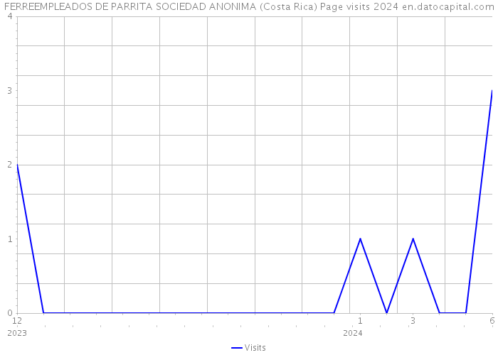 FERREEMPLEADOS DE PARRITA SOCIEDAD ANONIMA (Costa Rica) Page visits 2024 