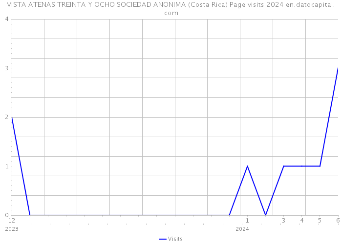 VISTA ATENAS TREINTA Y OCHO SOCIEDAD ANONIMA (Costa Rica) Page visits 2024 