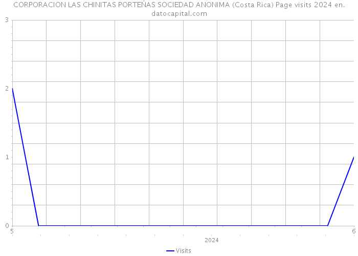 CORPORACION LAS CHINITAS PORTEŃAS SOCIEDAD ANONIMA (Costa Rica) Page visits 2024 