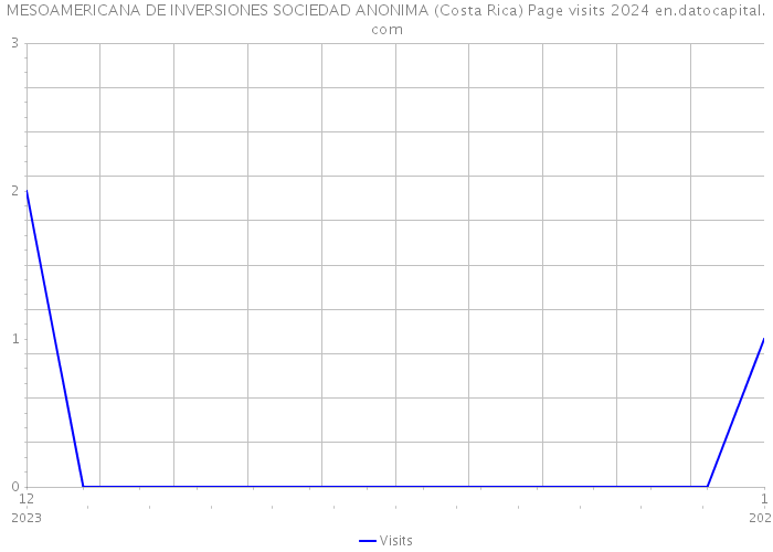 MESOAMERICANA DE INVERSIONES SOCIEDAD ANONIMA (Costa Rica) Page visits 2024 