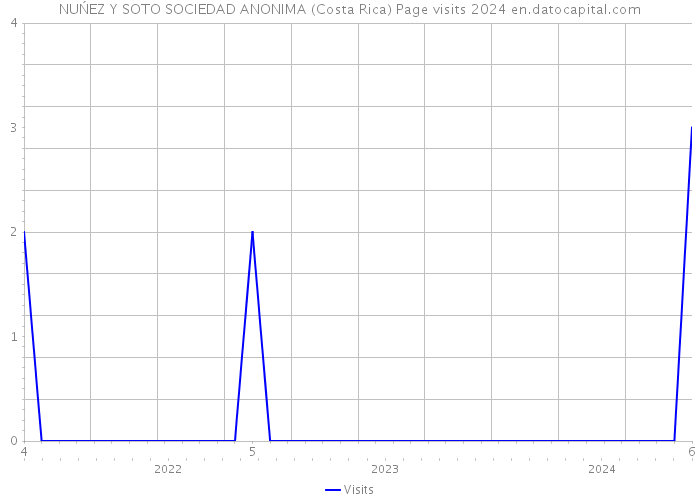 NUŃEZ Y SOTO SOCIEDAD ANONIMA (Costa Rica) Page visits 2024 