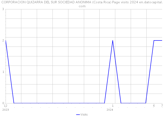 CORPORACION QUIZARRA DEL SUR SOCIEDAD ANONIMA (Costa Rica) Page visits 2024 